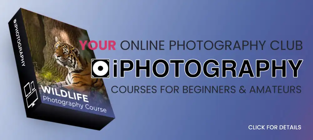 Wildlife Photography Course for Beginners banner