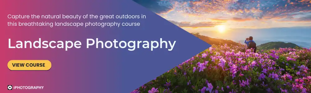 Landscape Photography Course Banner (wide)